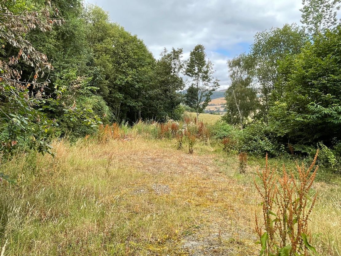 Long Nursery Coppice, Walton, Presteigne, Powys, LD8 2RE