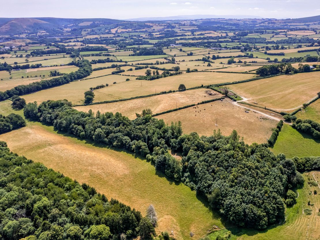 Long Nursery Coppice, Walton, Presteigne, Powys, LD8 2RE