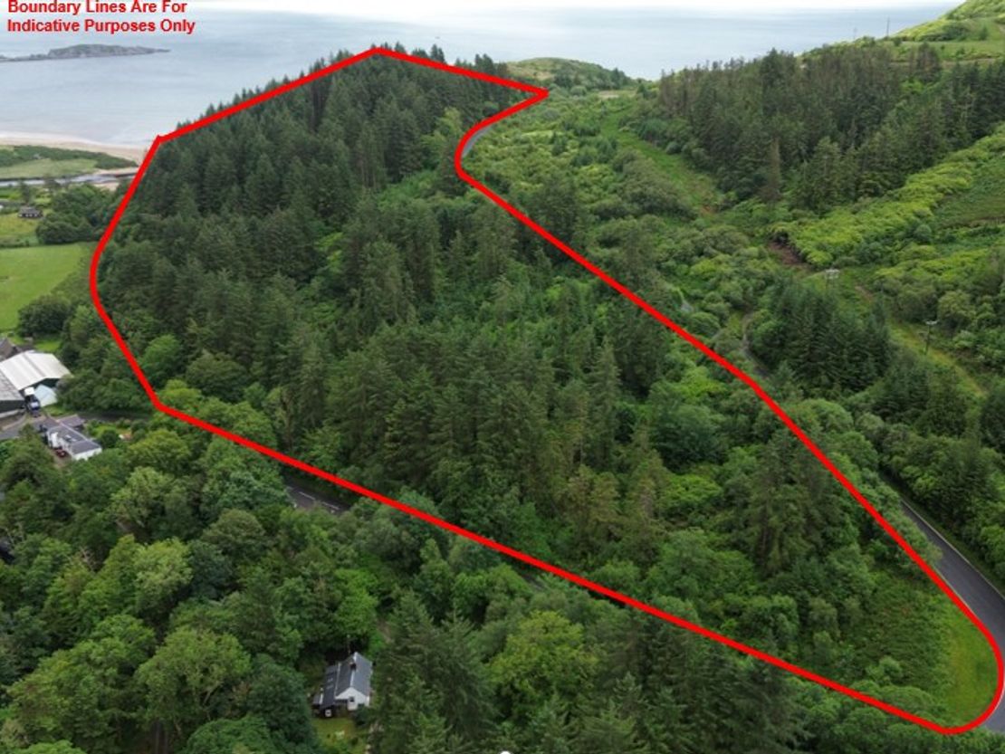 Dippen Wood, Carradale, Campbeltown, Argyll And Bute, PA28 6QT