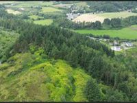 Property Image for Dippen Wood, Carradale, Campbeltown, Argyll And Bute, PA28 6QT