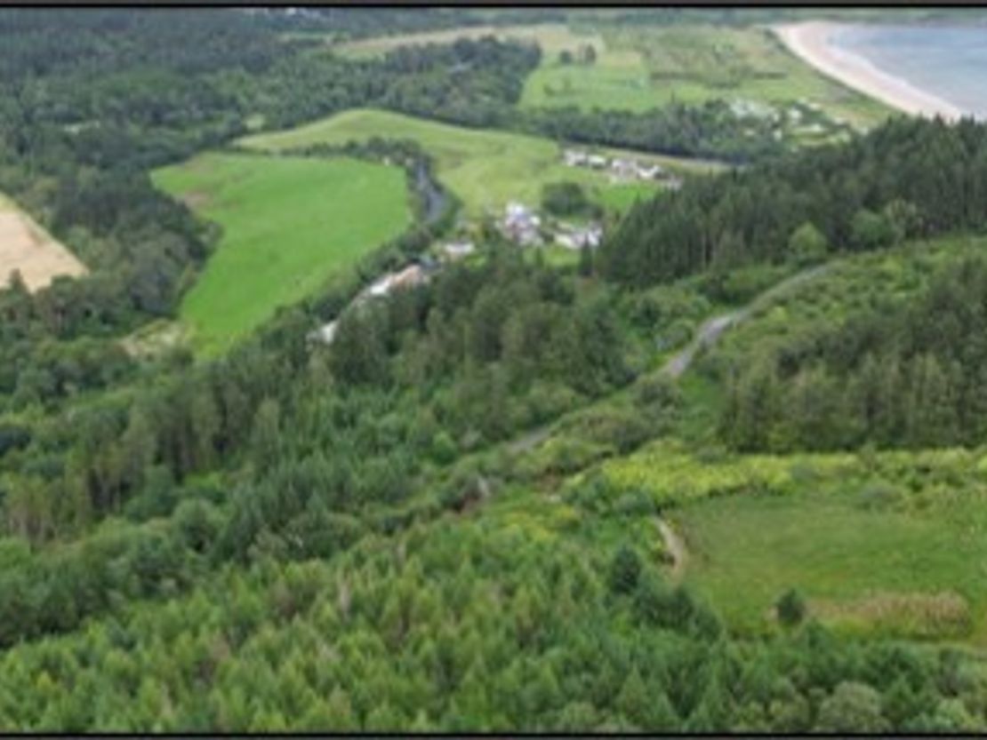 Dippen Wood, Carradale, Campbeltown, Argyll And Bute, PA28 6QT