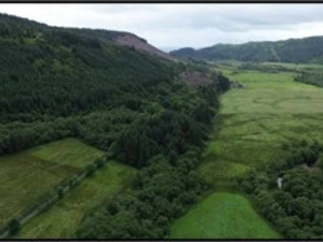 Achnasavil Wood, Carradale, Campbeltown, Argyll And Bute, PA28 6QJ
