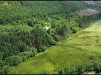 Property Image for Achnasavil Wood, Carradale, Campbeltown, Argyll And Bute, PA28 6QJ