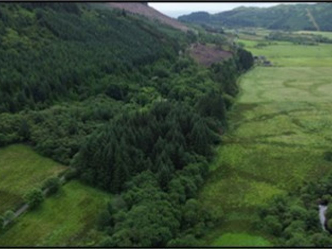 Achnasavil Wood, Carradale, Campbeltown, Argyll And Bute, PA28 6QJ