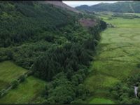 Property Image for Achnasavil Wood, Carradale, Campbeltown, Argyll And Bute, PA28 6QJ