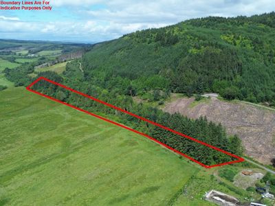 Property Image for Achnasavil Wood, Carradale, Campbeltown, Argyll And Bute, PA28 6QJ