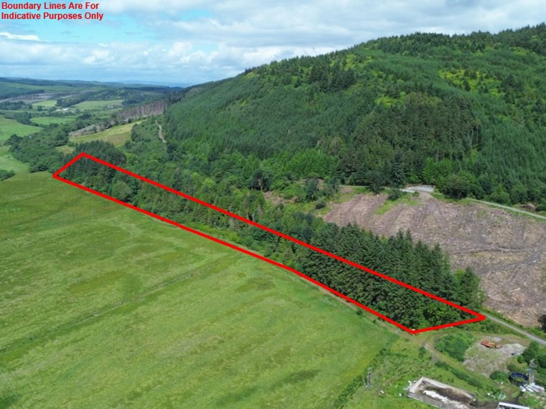 Achnasavil Wood, Carradale, Campbeltown, Argyll And Bute, PA28 6QJ