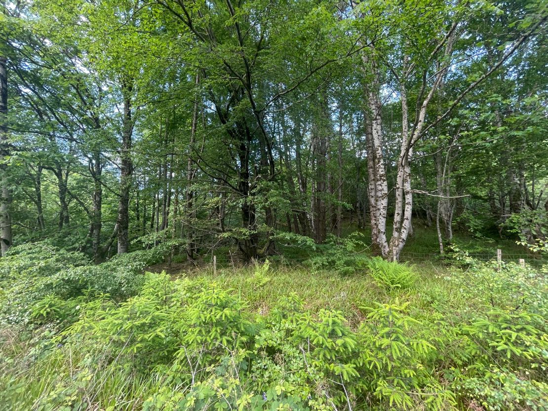Land At Balmacara, Kyle, Ross-shire, IV40 9DP