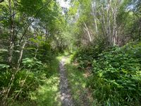 Property Image for Land At Balmacara, Kyle, Ross-shire, IV40 9DP