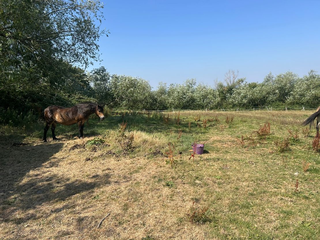 Land Off Butts Lane, Woodmancote Cheltenham, Gloucestershire, GL52 9QH