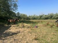 Property Image for Land Off Butts Lane, Woodmancote Cheltenham, Gloucestershire, GL52 9QH
