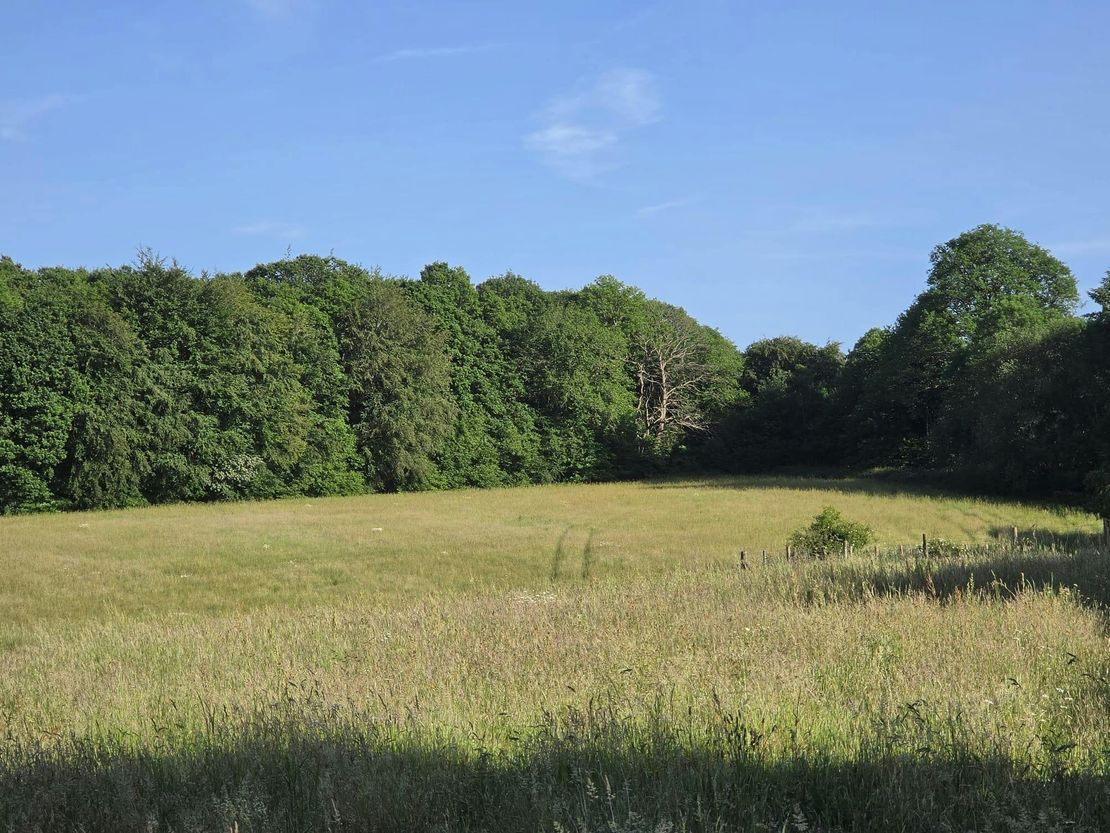 Larchwood, Pillar Box Lane, Sevenoaks, TN15 0EY