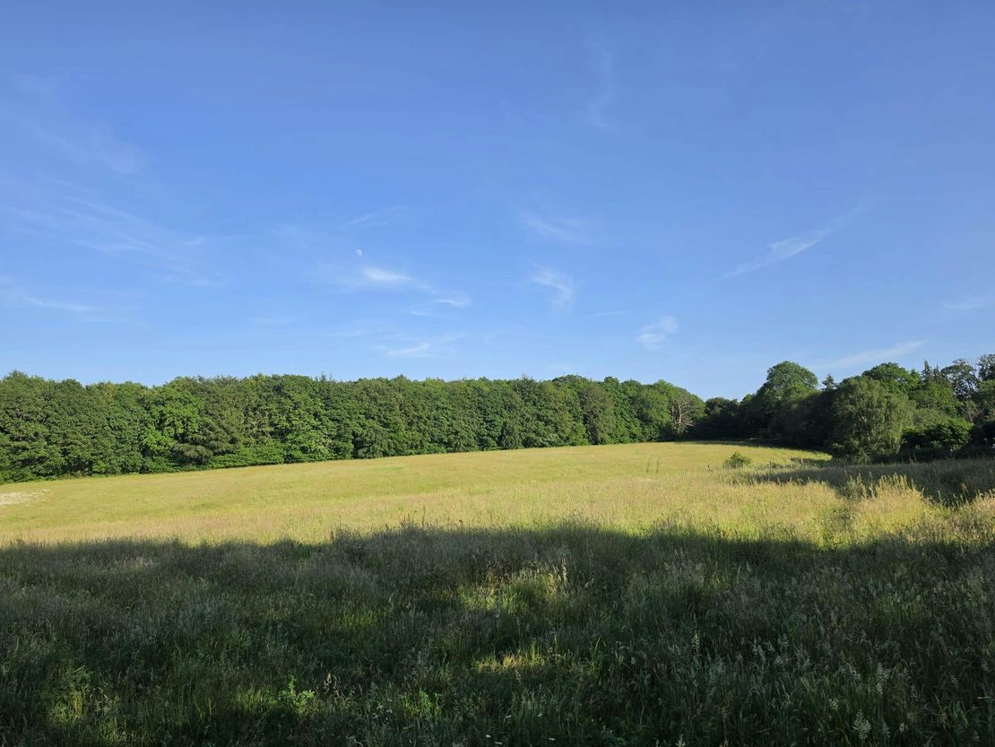 Larchwood, Pillar Box Lane, Sevenoaks, TN15 0EY