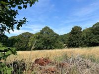 Property Image for between 108 & 134 Church Lane, Bagthorpe, Nottingham, Nottinghamshire, NG16 5FS
