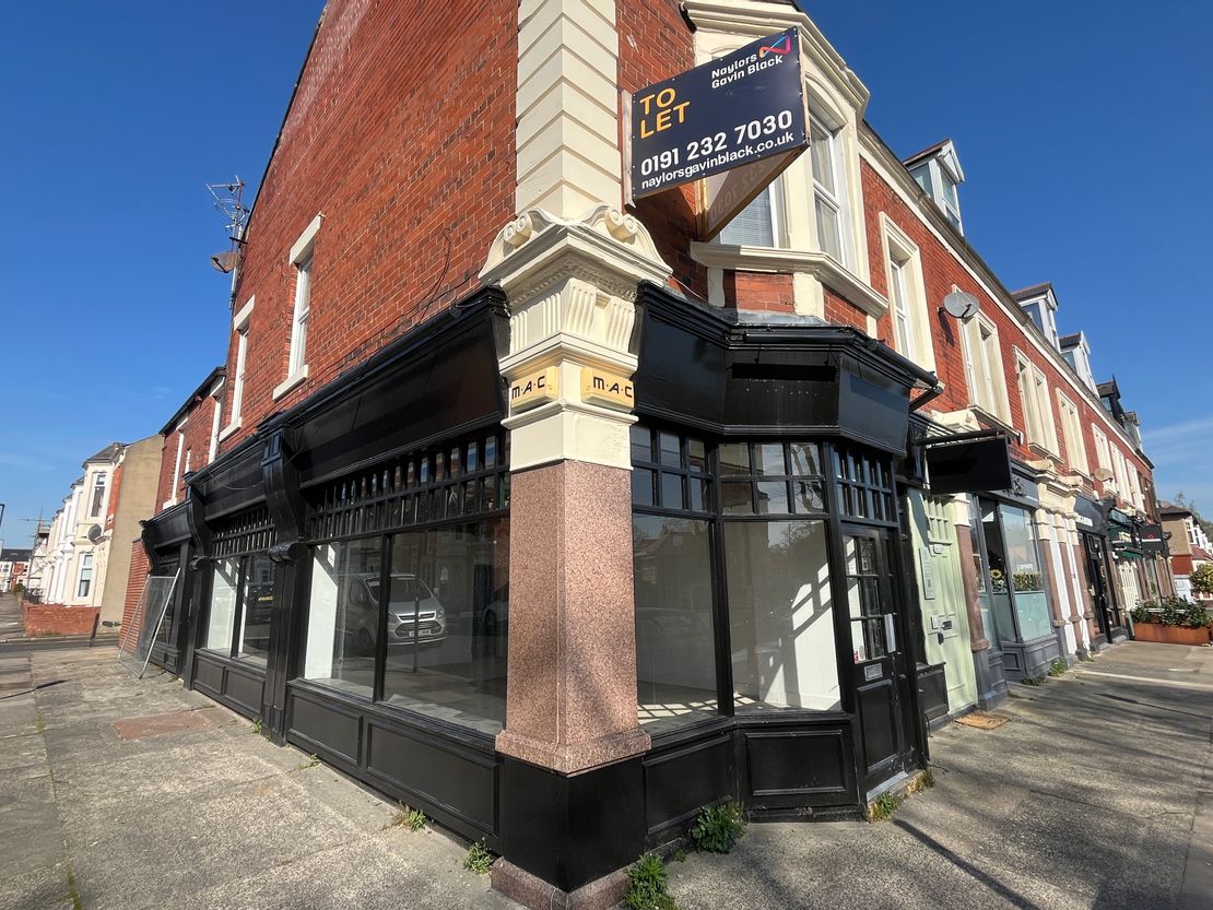 103 St. Georges Terrace, Jesmond, Newcastle Upon Tyne, Tyne and Wear, NE2 2DN