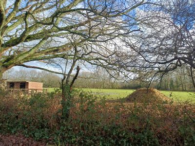 Property Image for Land At Cadham, Cadnam, Southampton, Hampshire, SO40 2NG