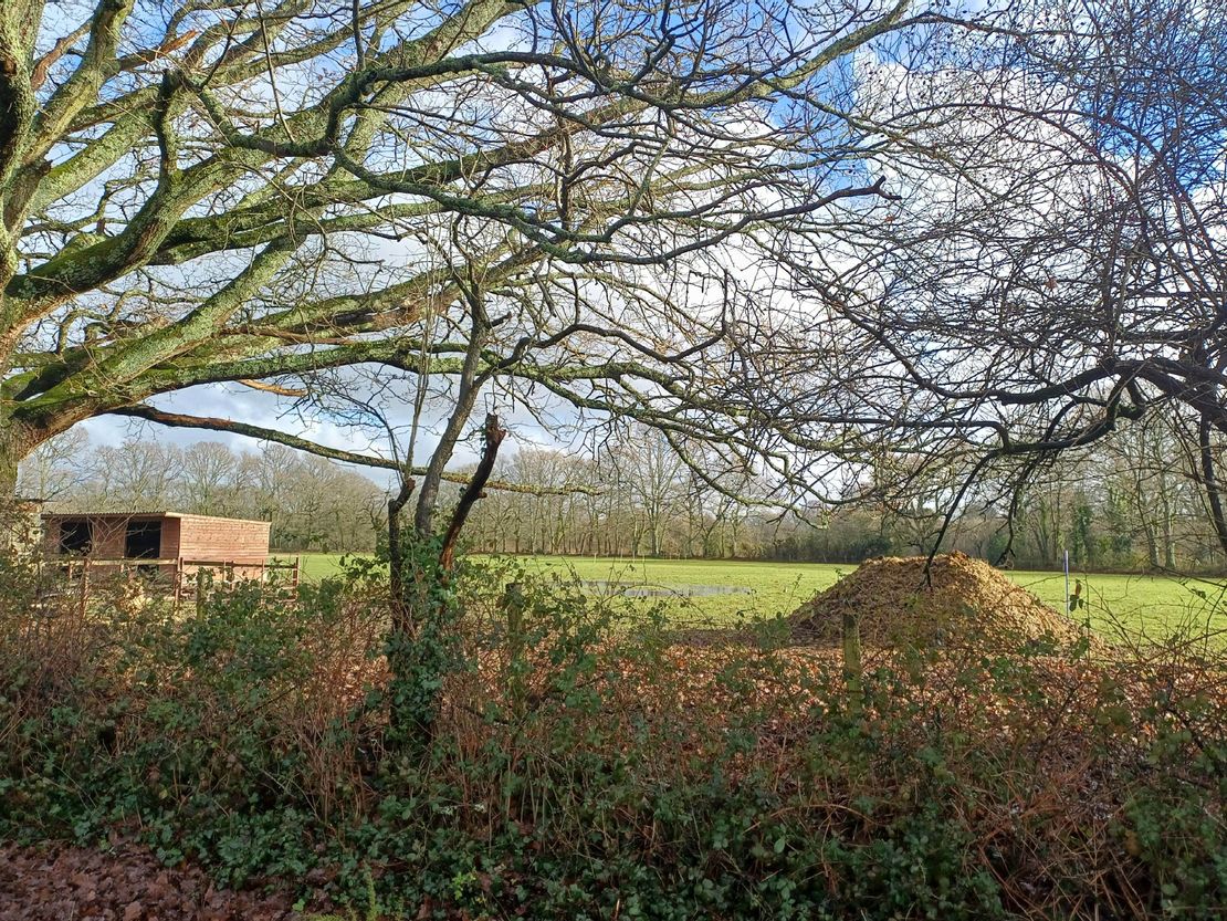 Land At Cadham, Cadnam, Southampton, Hampshire, SO40 2NG