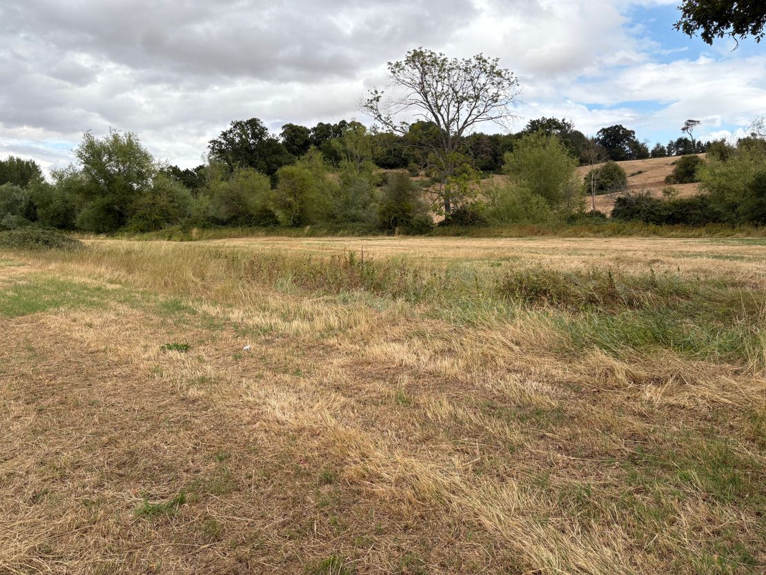 Lot 1 Land At Apperley Court, Apperley, Gloucester, GL19 4DH