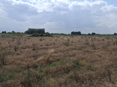 Property Image for Station Road, Commonside, Old Leake