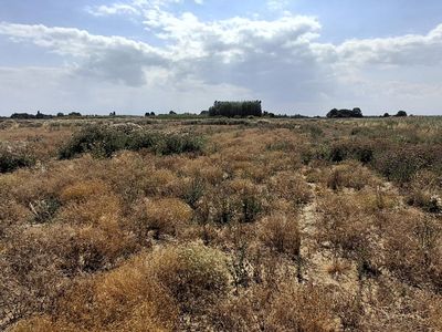 Property Image for Station Road, Commonside, Old Leake
