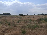 Property Image for Station Road, Commonside, Old Leake