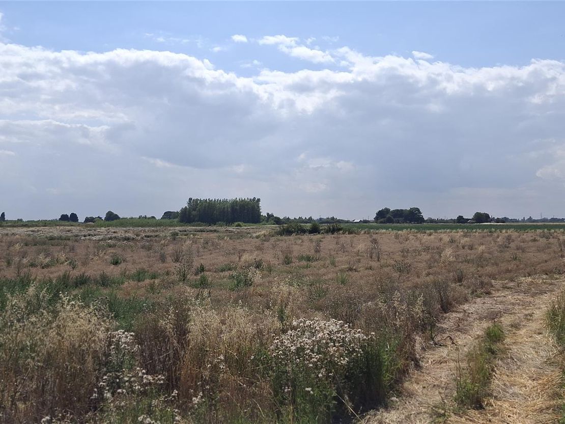 Station Road, Commonside, Old Leake
