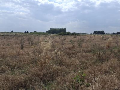 Property Image for Station Road, Commonside, Old Leake