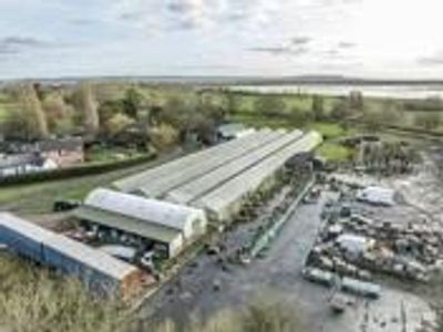 Property Image for Industrial With Office And Yard, Fretherne Nurseries, Fretherne, Saul, Gloucester, Gloucestershire, GL2 7JF