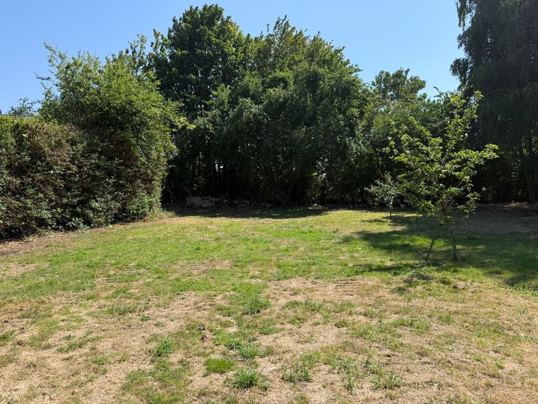 Land & Buildings At Forum & Montague Cottages, Chartway Street, Sutton Valence, Maidstone, Kent, ME17 3JA