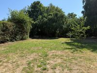 Property Image for Land & Buildings At Forum & Montague Cottages, Chartway Street, Sutton Valence, Maidstone, Kent, ME17 3JA