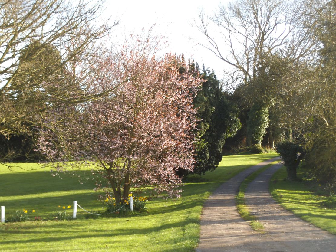 Withern Mill, Withern, Alford, Lincolnshire