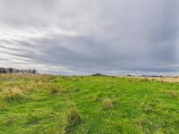 Property Image for High Street, St. Combs, Fraserburgh, Aberdeenshire, AB43 8YR