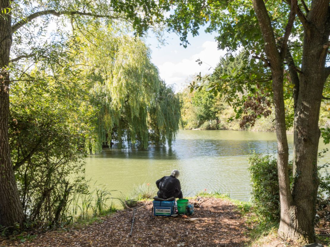 Highfield Fisheries, Thorpe Abbotts, Diss, Norfolk, IP21 4JA