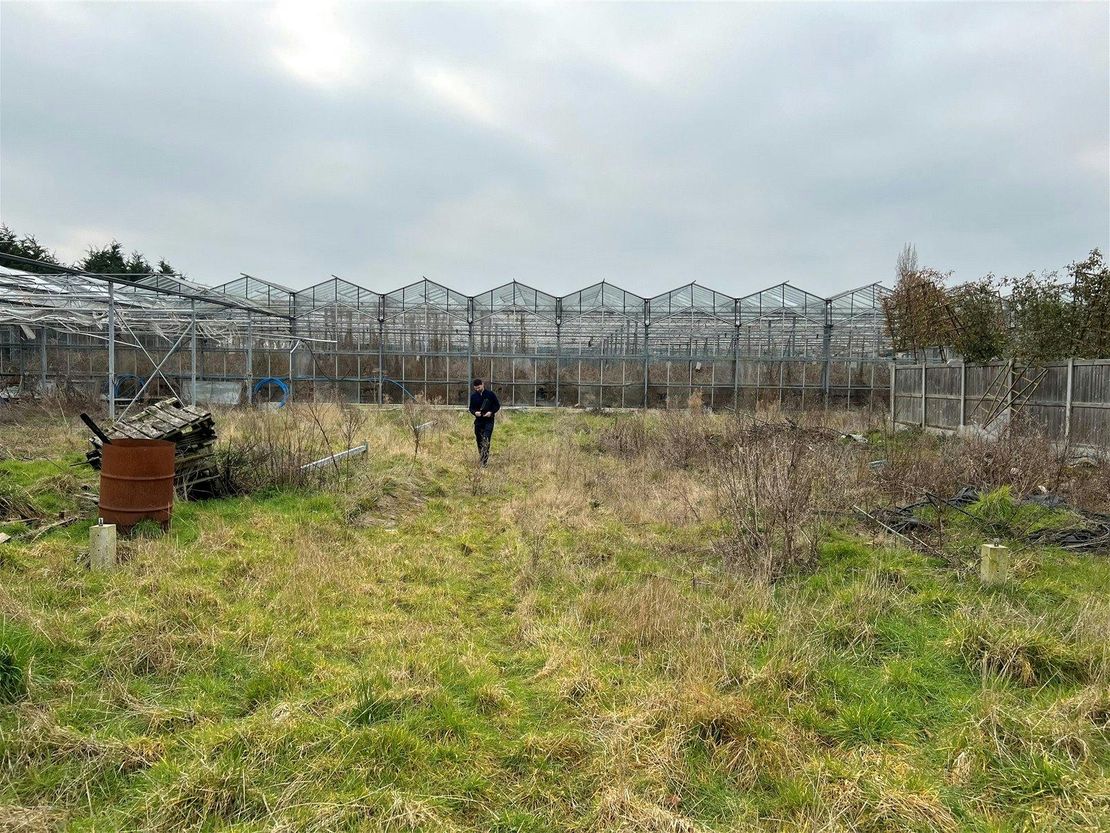 Ivanhoe Nurseries, Ironwell Lane, Hockley, SS5 4JY