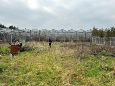 Property Image for Ivanhoe Nurseries, Ironwell Lane, Hockley, SS5 4JY