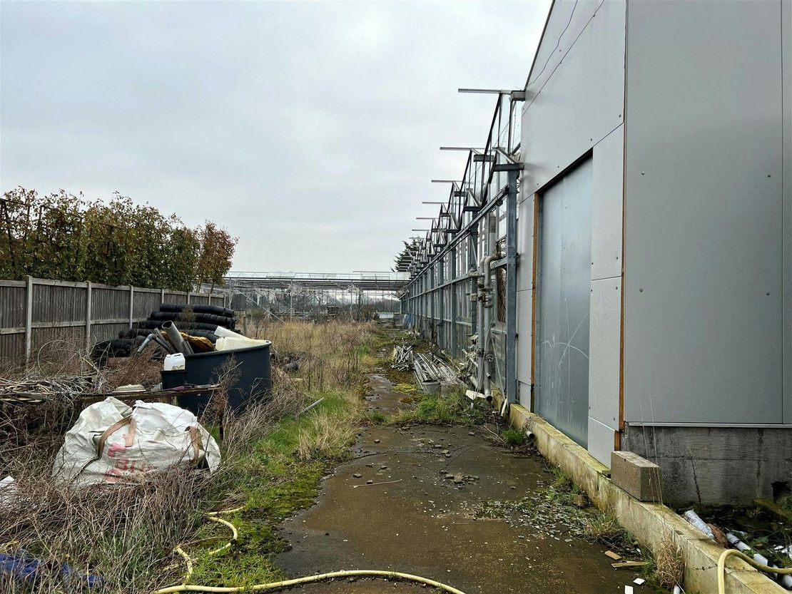 Ivanhoe Nurseries, Ironwell Lane, Hockley, SS5 4JY
