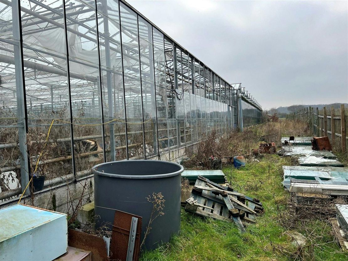 Ivanhoe Nurseries, Ironwell Lane, Hockley, SS5 4JY