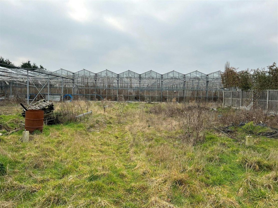 Ivanhoe Nurseries, Ironwell Lane, Hockley, SS5 4JY