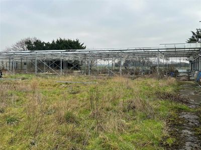 Property Image for Ivanhoe Nurseries, Ironwell Lane, Hockley, SS5 4JY