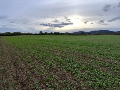 Property Image for Lot 2 - Ruells Farm And Land At Church Farm, Church Road, Castlemorton, Malvern, Worcestershire, WR13 6BH