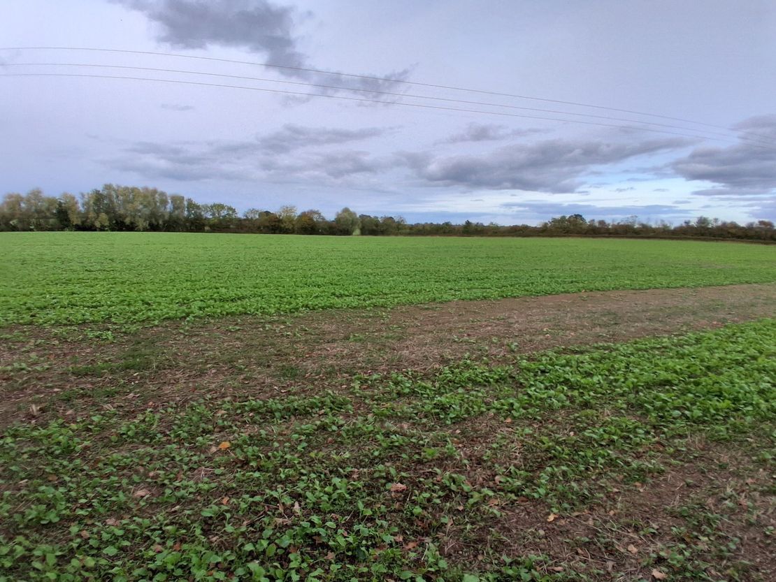 Lot 2 - Ruells Farm And Land At Church Farm, Church Road, Castlemorton, Malvern, Worcestershire, WR13 6BH