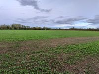 Property Image for Lot 2 - Ruells Farm And Land At Church Farm, Church Road, Castlemorton, Malvern, Worcestershire, WR13 6BH