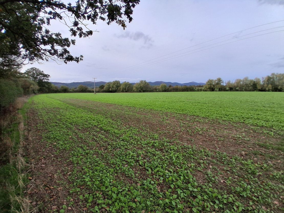 Lot 2 - Ruells Farm And Land At Church Farm, Church Road, Castlemorton, Malvern, Worcestershire, WR13 6BH