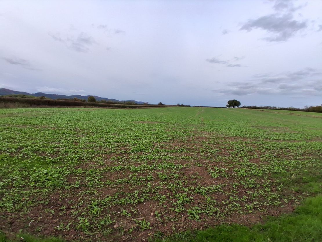 Lot 2 - Ruells Farm And Land At Church Farm, Church Road, Castlemorton, Malvern, Worcestershire, WR13 6BH