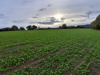 Property Image for Lot 2 - Ruells Farm And Land At Church Farm, Church Road, Castlemorton, Malvern, Worcestershire, WR13 6BH