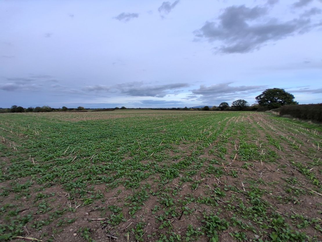 Lot 2 - Ruells Farm And Land At Church Farm, Church Road, Castlemorton, Malvern, Worcestershire, WR13 6BH