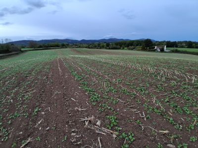 Property Image for Lot 2 - Ruells Farm And Land At Church Farm, Church Road, Castlemorton, Malvern, Worcestershire, WR13 6BH