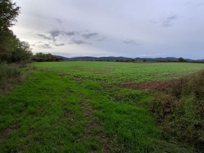 Property Image for Lot 2 - Ruells Farm And Land At Church Farm, Church Road, Castlemorton, Malvern, Worcestershire, WR13 6BH