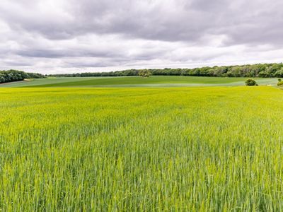 Property Image for Land At Blacklaines Farm, B4070, Birdlip, Gloucestershire, GL4 8LH