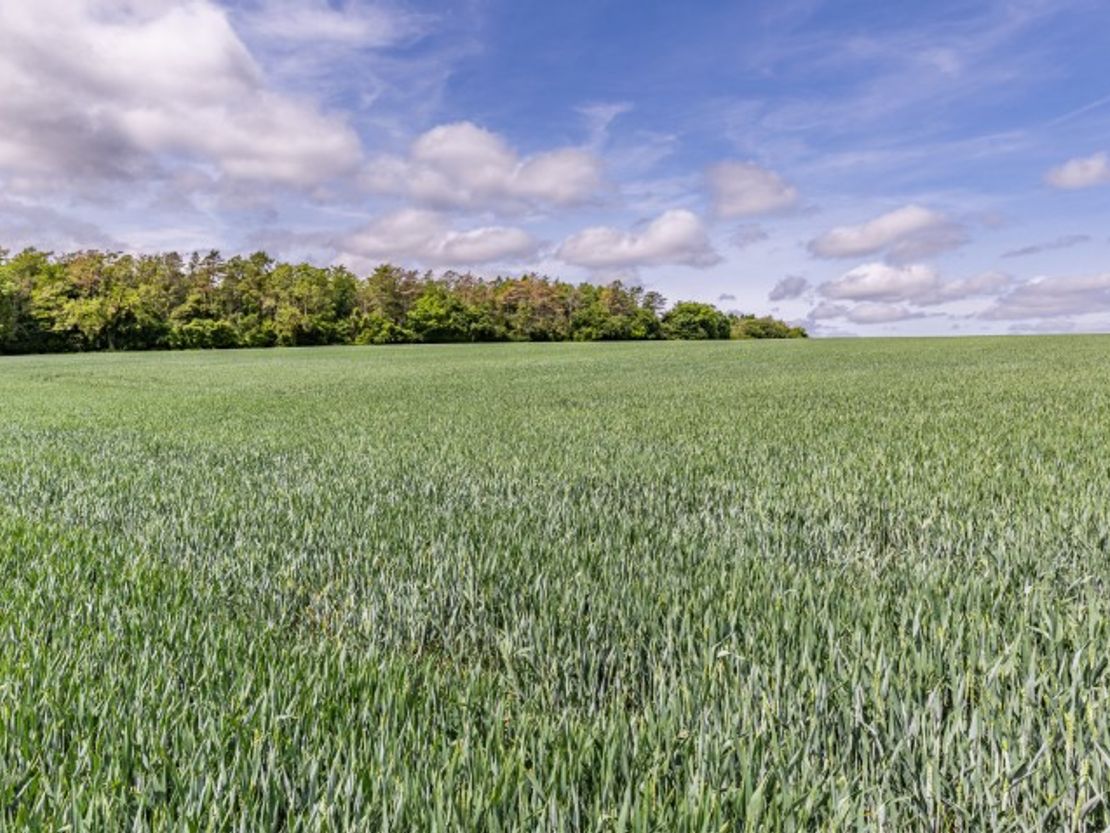 Land At Blacklaines Farm, B4070, Birdlip, Gloucestershire, GL4 8LH